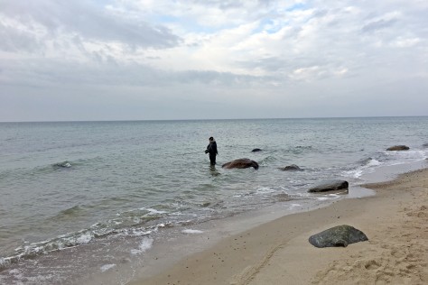 Strandwanderungen an der Steilküste bis Kühlungsborn