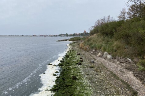 Haffblick in Richtung Stadt und Wustrow